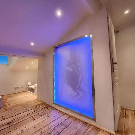 Le Croisette Center Appartement *